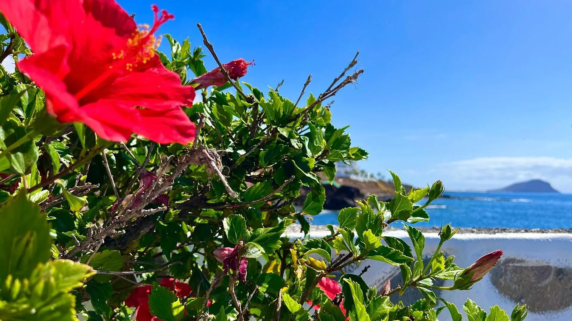 Paz Ocean View, Air Condition, Wifi, Heated Pool San Miguel de Abona Spagna