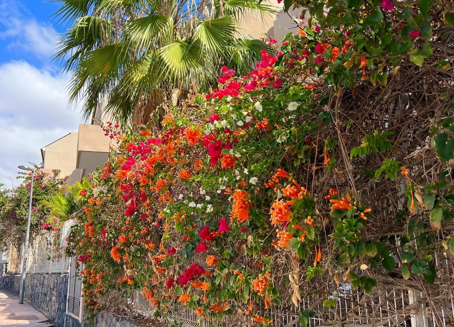 Paz Ocean View, Air Condition, Wifi, Heated Pool San Miguel de Abona Appartamento